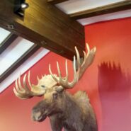 Energieeffizienz Bergrestaurant Curnius