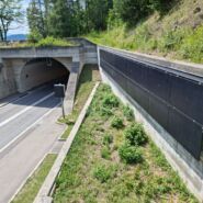 PV-Anlage an Strassen (Tunnel Trin) – Nachhaltige Winterstromproduktion ohne Beeinträchtigung der Alpenlandschaft.