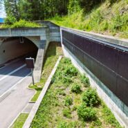 Winterstrom an der Stützmauer des Tunnels in Trin – Nachhaltige Stromproduktion ohne Beeinträchtigung der Alpenlandschaft.